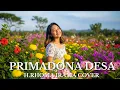 Download Lagu Cover Lagu Primadona Desa – H. Rhoma Irama