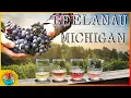 5 Must-Visit Wineries on Leelanau Peninsula Traverse City Michigan Wine Tour Guide 2025