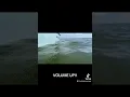 Download Lagu Bunyi yang dikeluarkan oleh udang dewasa merupakan salah satu bunyi bioakustik paling keras di lautan!