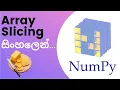 Python Numpy Tutorial - 04 Array Slicing Sinhala