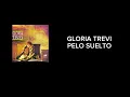 Gloria Trevi - Pelo Suelto (Cover Audio)