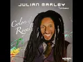 Julian Marley - The Tide Is High