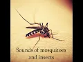 Mosquito sounds