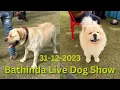 Bathinda Live Dog Show 31-12-2023