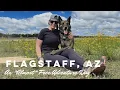 Dog Friendly Flagstaff I An Almost Free Adventure Day