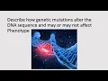 Describe how genetic mutations alter the DNA sequence and may or may not affect phenotype