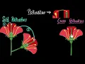 Download Lagu Penyerbukan (diri \u0026 silang) | Bagaimana organisme berkembang biak | Biologi | Akademi Khan