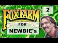 Fox Farm For Newbies Big Bloom - Grow Big More Part 2
