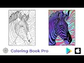 Coloring in Hues From our Book Pro