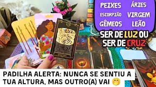 💥 Você foi um mestre na vida dessa pessoa 💃🌹 PADILHA ALERTA, mas ainda precisa amadurecer muito