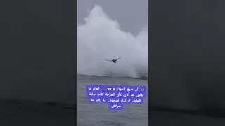 صرخة الحوت 2019 كانه يخبرنا اننا ضعنا وابتعدنا كثيراااا سطيف 