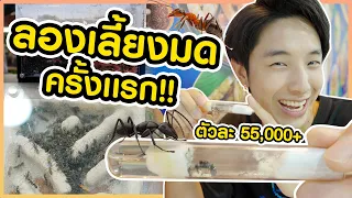 สัตว์เลี้ยงตัวใหม่!! นางพญามดนำเข้าจากตปท!! มดอะไรราคาตัวละ 55,000!!