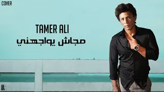 Alolo Kalam Tamer Ali قالولوا كلام تامر علي 