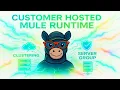 Implement Mule Runtime Multicast Clustering Deploy Apps MuleSoft Step-by-Step Tutorial