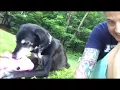 Owner Publishes Moving Obituary About Her Beloved Dog