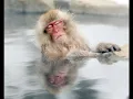 Música para meditación. Del chakra Raíz al Corazón. Cuencos por Danny Becher.