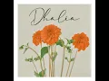Dhalia - Tania Matus