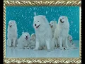 Ірина Білик - Мне не жаль [OFFICIAL VIDEO]