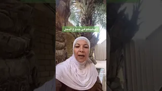 لأصلبنكم في جذوع النخل لم في وليس على 