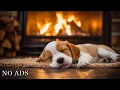 Lagu Deep sleep music for dogs🐶Anti-anxiety music for dogs🐶Music help your dog sleep after 30minutes