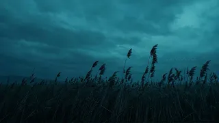 it's okay, you can rest now..