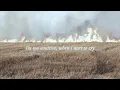 Nessa Barrett - hell is a teenage girl (official lyric video)