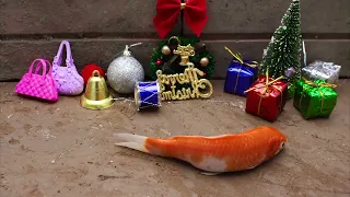 The Great Christmas Feast: Koi & Crab's Holiday Adventure | Koi Fish Stop Motion