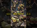 Secret Meaning Of The Turtles Weapon