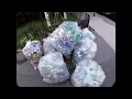 An Action-Packed NYC Bottle Run 2 Stops 20K CONTAINERS