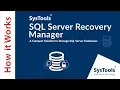Remove Encryption From SQL Server database Objects with Ease
