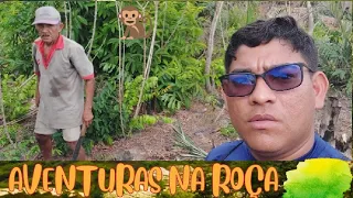 AVENTURAS NA ROÇA 🐒🐿🦔🦜