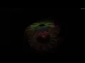 🎵 Wir Sind Helden - Denkmal (2003) (4K 👀Visualization)