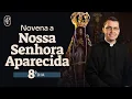 Download Lagu 8º dia - Novena a Nossa Senhora da Conceição Aparecida