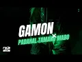 Download Lagu GAMON X PADAHAL TAMANG MABO - RAJA SLIDE REMIX (DISTAN 2025)