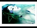 Lullaby of Lillies