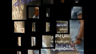 ديشا اخر كلام تامر عاشور كان مالي وماله 
