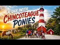 A Day with Chincoteague Ponies Lighthouse Family Friends Adventure in Virginia