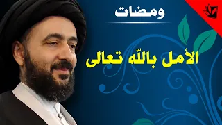 ومضات الأمل بالله تعالى آية الله الفقيه السيد محمد رضا الشيرازي رحمه الله 