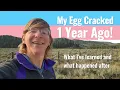 One Year Anniversary of My Egg Cracking