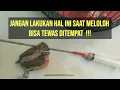 Download Lagu Kesalahan Fatal dalam MELOLOH burung EMPRIT