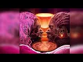Young Thug - Bubbly ft. Travis Scott [WITHOUT Drake's Part]