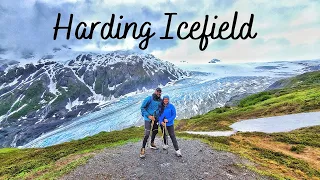 Alaska | Harding Icefield Trail | Kenai Fjords National Park | USA | 4K UHD | Hiking