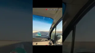 روحي لو خطرت ياسين التهامي      التهامي  ياسين التهامى  اكسبلور دندنها
