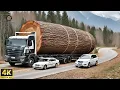 Download Lagu Del Bosque Profundo al Lujo Supremo: Transformación Épica de un Árbol Gigante en Mesa Monumental