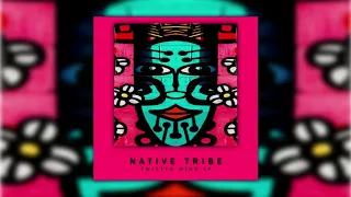 native tribe twisted mind original mix 