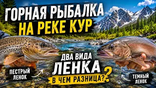 Горная рыбалка на реке Кур! Два вида ленка, в чем разница?