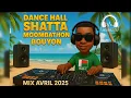 MIX AVRIL 2025 by Elly-Z