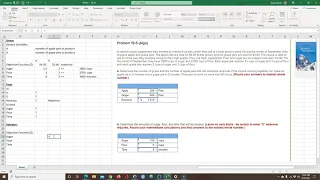 Linear Programming Word Problem Solved with Excel Solver