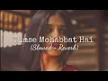 Download Lagu Tumse Mohabbat Hai - Lofi Song | Slowed + Reverb | JalRaj | Relax and Remix | Romantic Song
