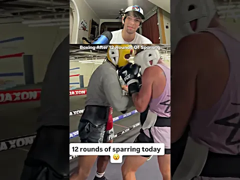 Boxing After 12 Rounds Of Sparring